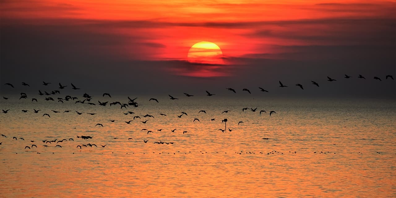 vaarroute ijsselmeer friesland